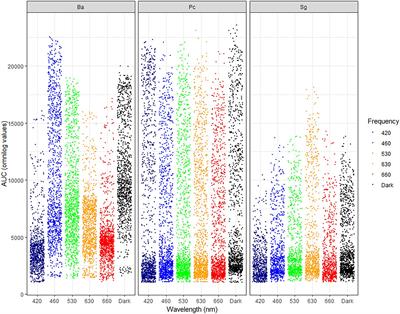 The power of light: Impact on the performance of biocontrol agents under minimal nutrient conditions